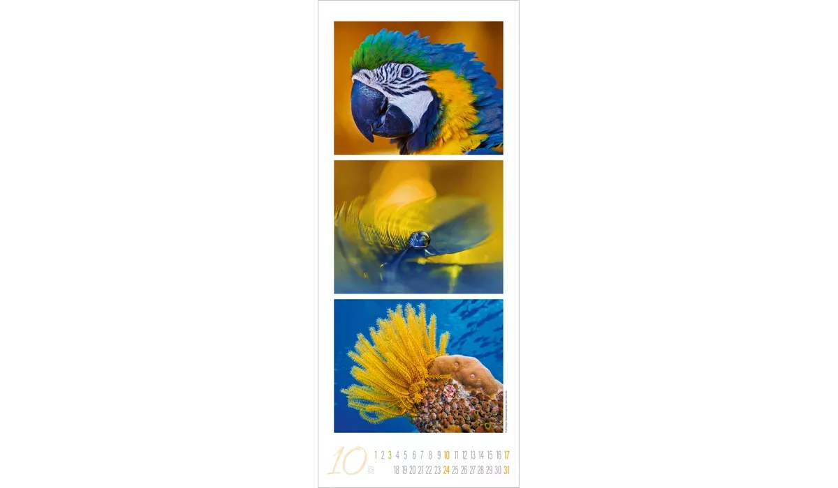 Colour Triplets Kalender 2027