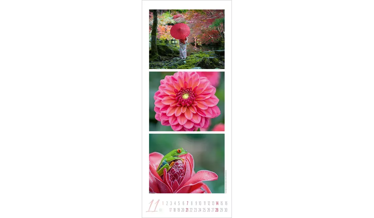 Colour Triplets Kalender 2027
