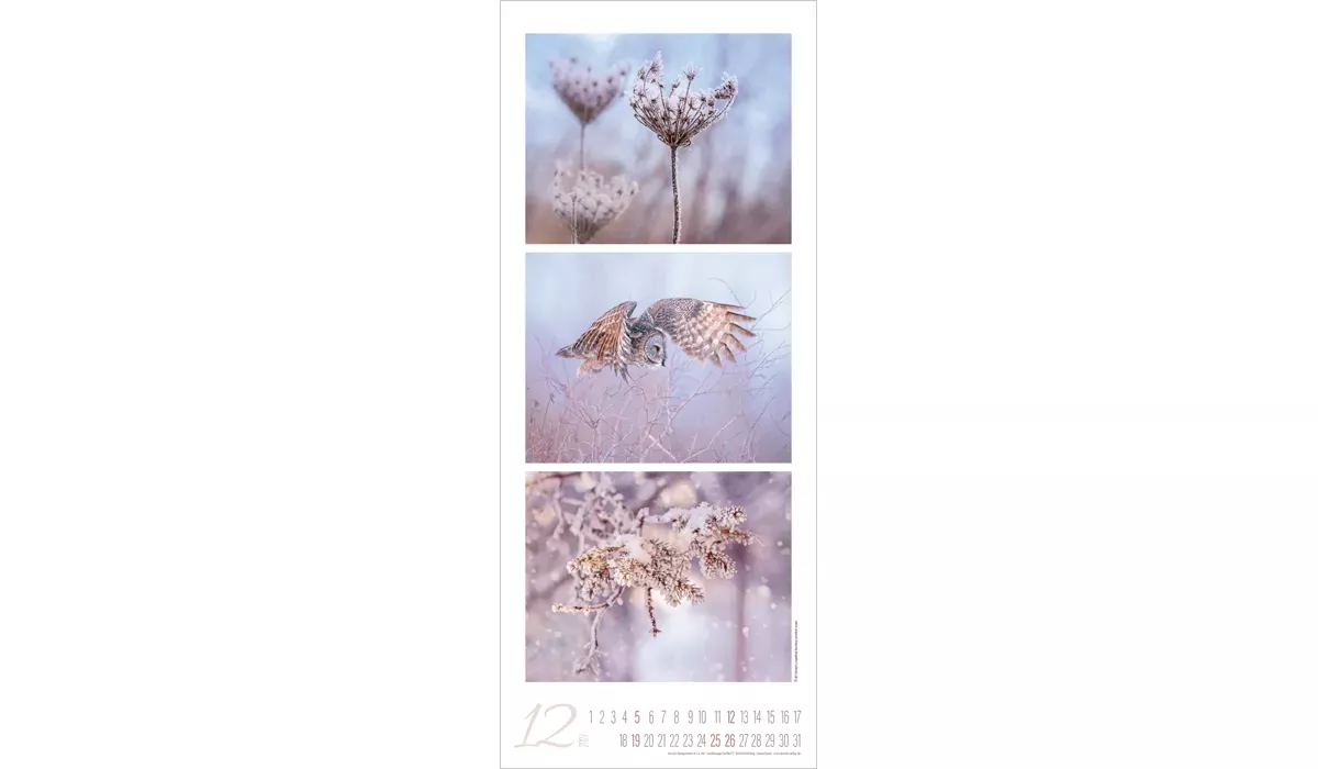 Colour Triplets Kalender 2027