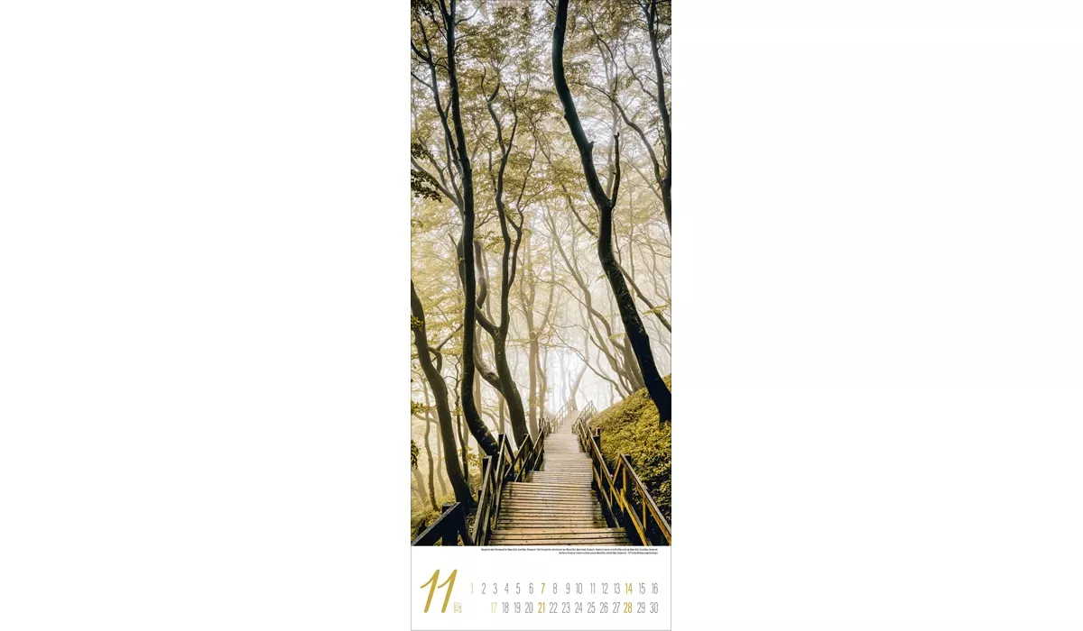 Werbekalender: Zauberhafte Wege 2027