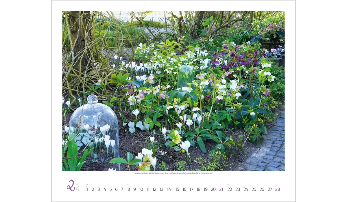 Werbekalender: Gartenträume 2027