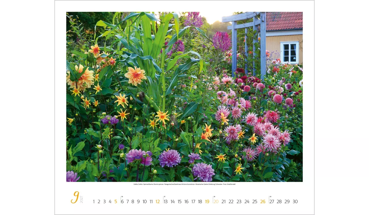 Werbekalender: Gartenträume 2027