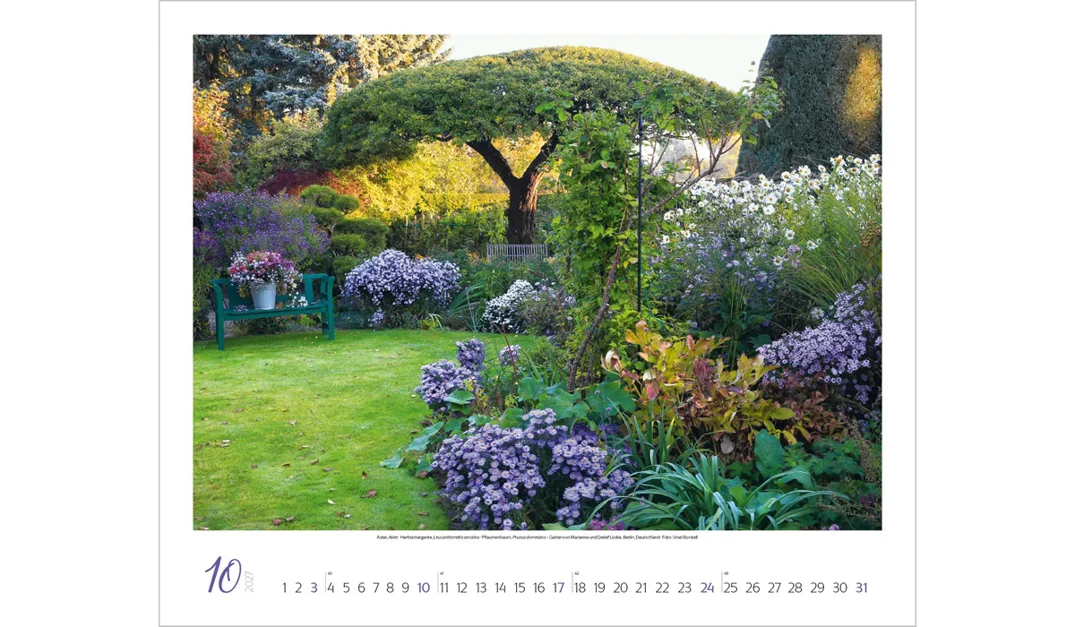 Werbekalender: Gartenträume 2027