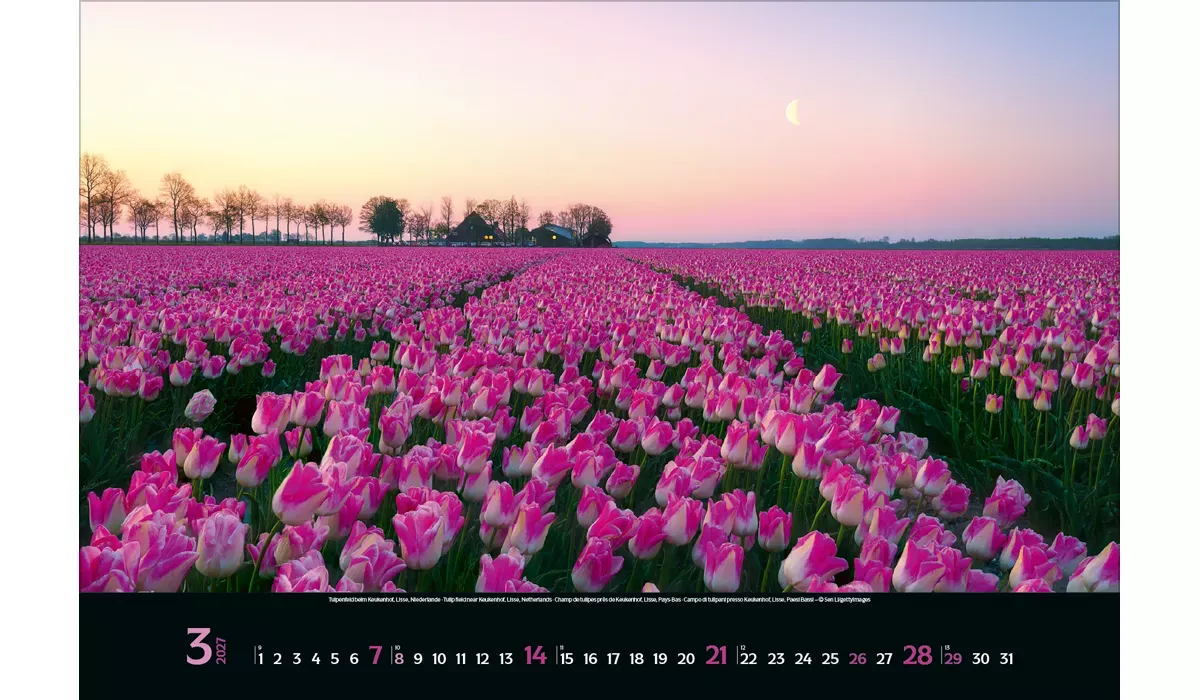 advertising calendar: Colourful Seasons 2027 