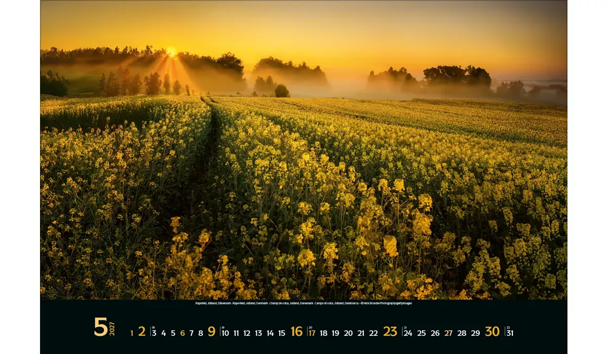 advertising calendar: Colourful Seasons 2027 