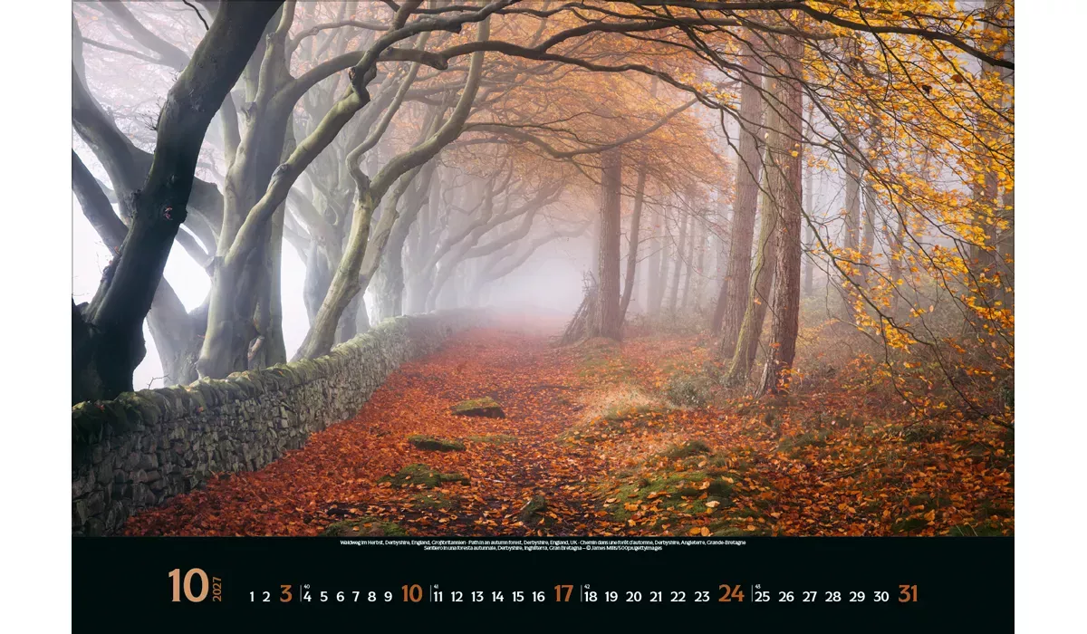 advertising calendar: Colourful Seasons 2027 