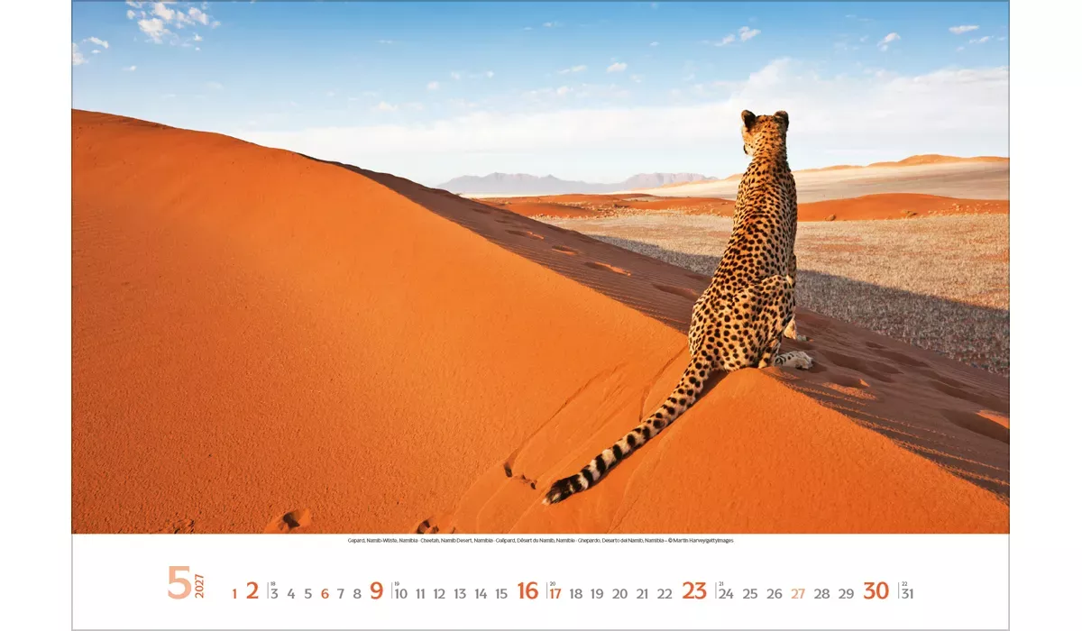 advertising calendar: Places of longing 2027 