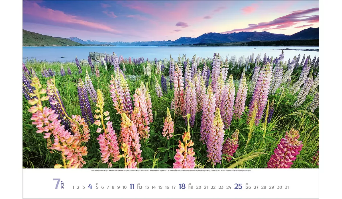 advertising calendar: Places of longing 2027 