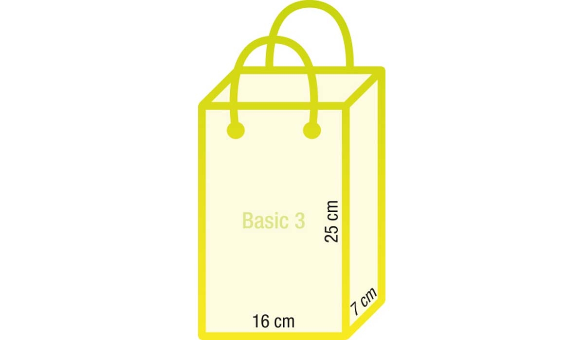 Papiertasche Basic 3