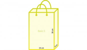 Papiertasche Basic 5