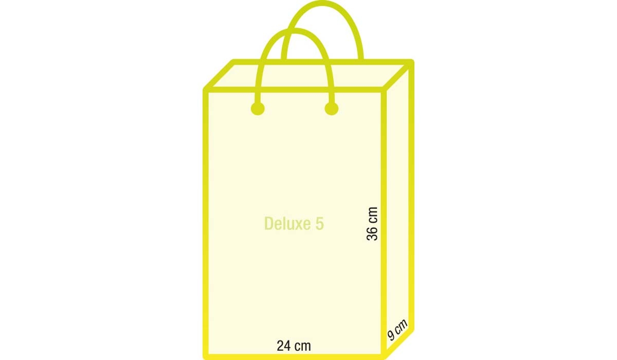 Papiertasche Deluxe 5