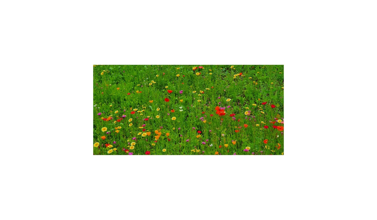 Blühende Zusammenarbeit