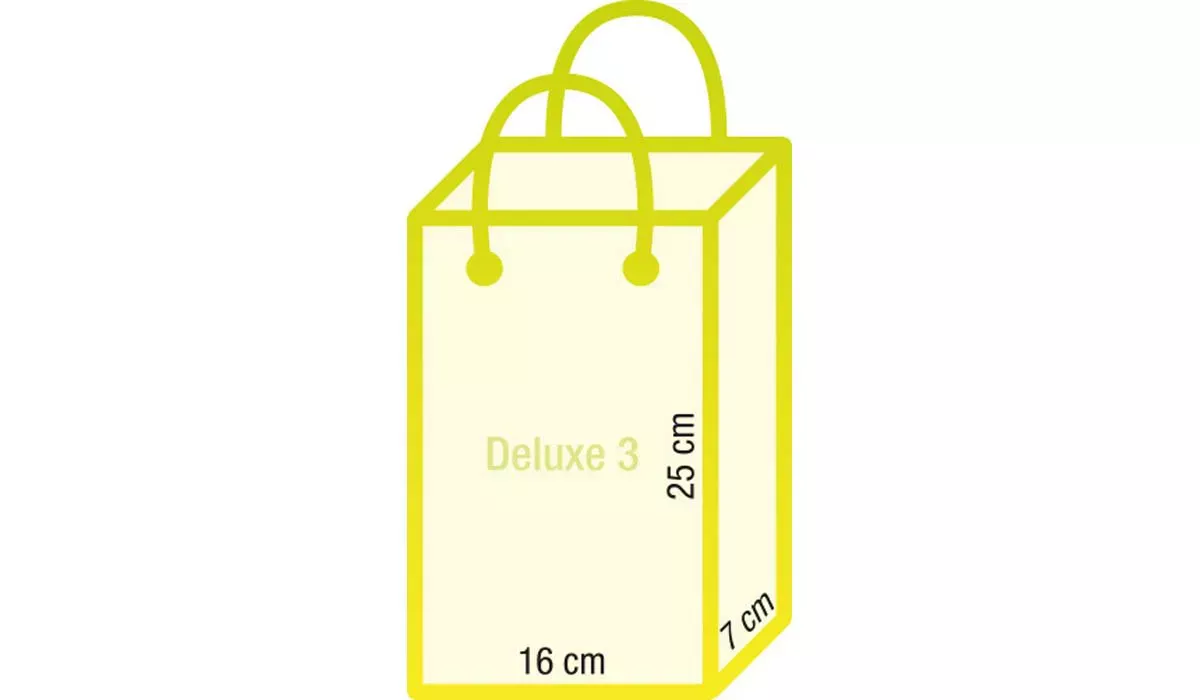 Paper bag Deluxe 3