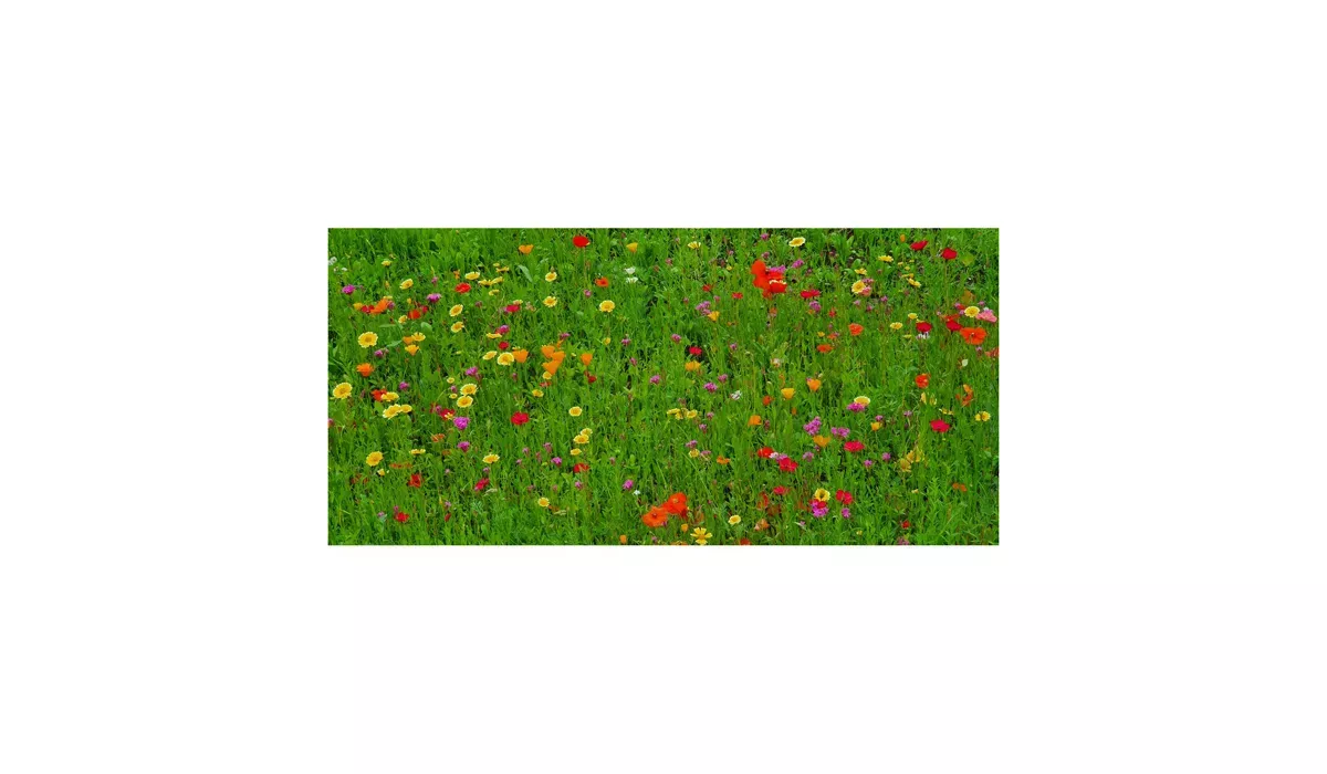 Geschenkartikel/Präsentartikel: Blumenwiese Bee Happy