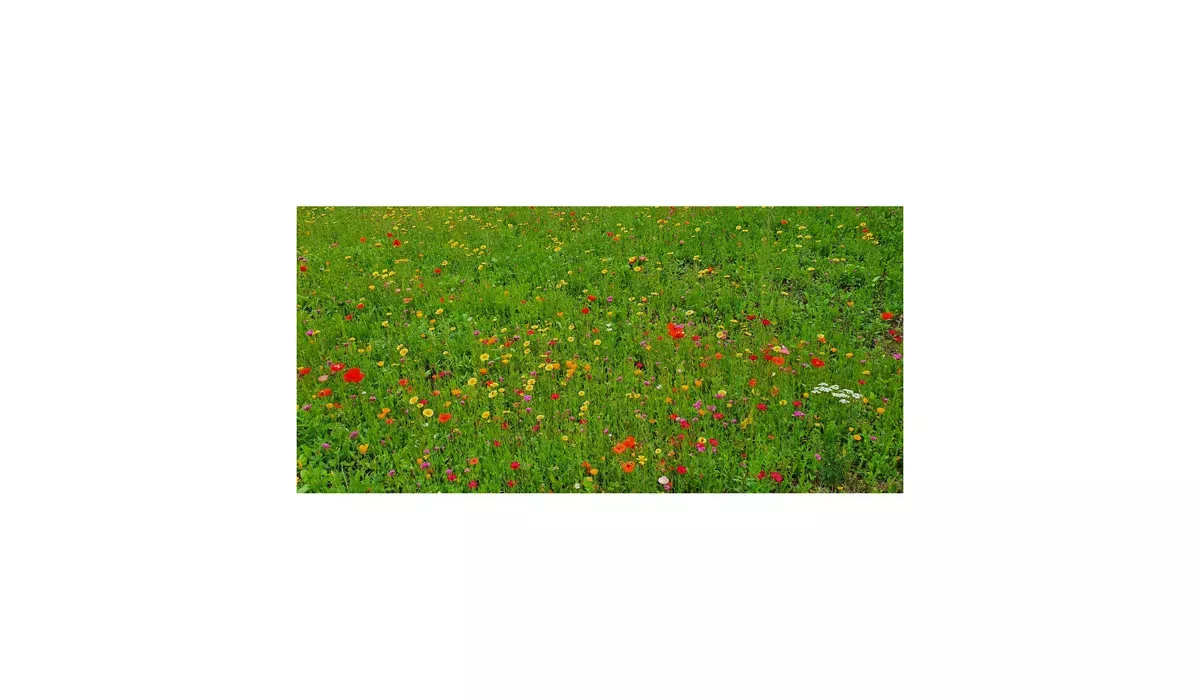 Geschenkartikel/Präsentartikel: Blumenwiese Bee Happy