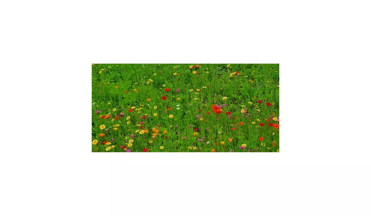 Geschenkartikel/Präsentartikel: Blumenwiese Bee Happy