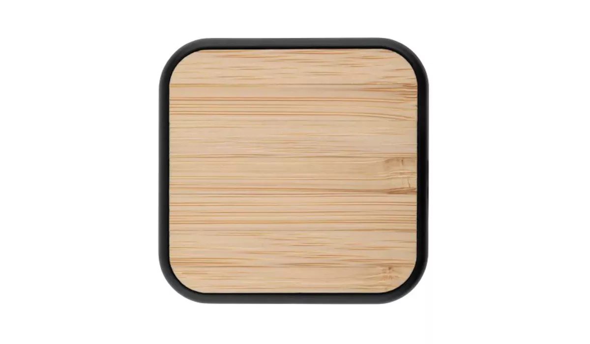 Charging cable ChargeBuddyGo