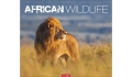 Werbekalender: African Wildlife 2026