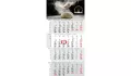 4-month calendar 2027 Rational 4