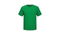 JACK & JONES - Canvas Tee BLK7526 - JOLLY GREEN