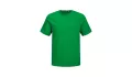 JACK & JONES - Canvas Tee BLK7526 - JOLLY GREEN JACK & JONES - Canvas Tee BLK7526 - JOLLY GREEN