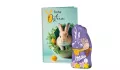 Easter Gift: PROMOTIONAL CARD Smiley Bunny