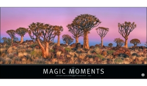 Magic Moments Panorama 2024