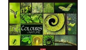 Colours of Nature 2025