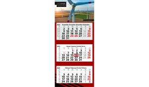 3-month calendar 2025 Maxi 3