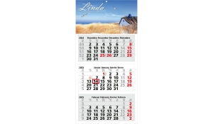 3-month calendar 2025 Medium 3