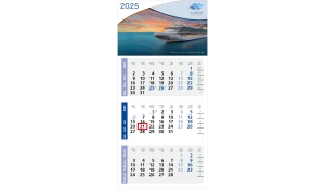 3-month calendar 2025 Medium Light 3 Standard