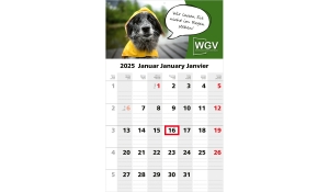 1-month calendar 2025 Solo 1 Standard