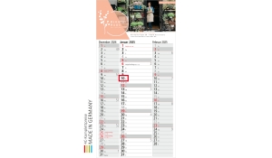 3-month calendar 2025 Spectrum 3 including advertising printing