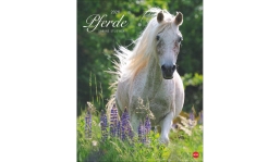 Werbekalender: Pferde Classics Posterkalender 2026