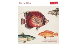 Werbekalender: Fische Postkartenkalender 2026