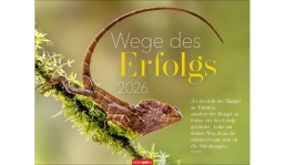 Werbekalender: Wege des Erfolgs 2026
