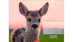 Werbekalender: Heimische Wildtiere 2026
