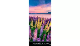 advertising calendar: Colourful nature 2027