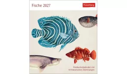 advertising calendar: Fish postcard calendar 2027