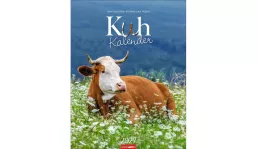 advertising calendar: Cow Calendar 2027