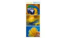 Werbekalender: Colour Triplets 2027