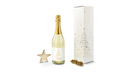 Gift box / Present set: Golden Christmas