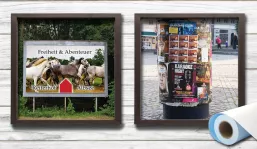 Blue Back (Plakatpapier)