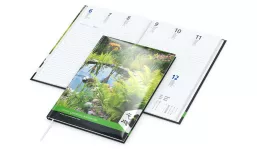 Book Calendar 2027 Media Appleorganic