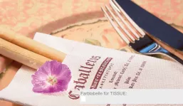 Dinner-Pocket-Napkin aus Tissue Deluxe light 3-lagig weiß