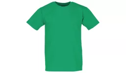 Valueweight T Shirt Men - may green