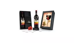 Gift box/Present set: Modern wine thermometer