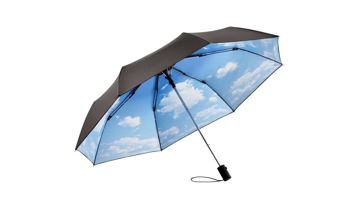 AC-Mini-Taschenschirm FARE®-Nature - schwarz/wolken design