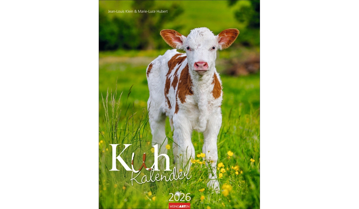 advertising calendar: Cow Calendar 2026
