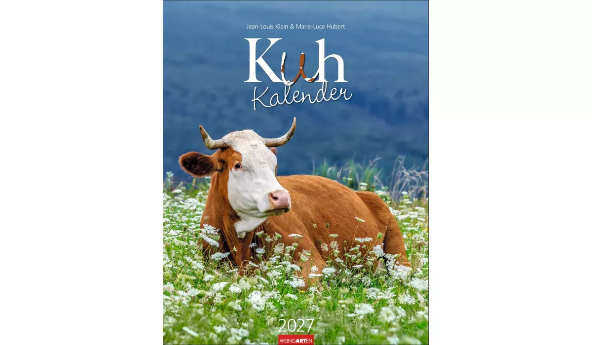 advertising calendar: Cow Calendar 2027